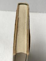 ※イタミ有 森へ: 少女ネルの日記 (ハヤカワ・ノヴェルズ) 早川書房 ジーン ヘグランド