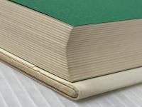 ※イタミ有 森へ: 少女ネルの日記 (ハヤカワ・ノヴェルズ) 早川書房 ジーン ヘグランド