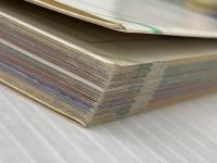 ※イタミ有 スーパーマリオアドバンス2 (ワンダーライフスペシャル ゲームボーイアドバンス任天堂公式ガイドブック) 小学館