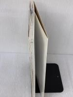 【※イタミ有り】3スパイス&3ステップで作る はじめてのスパイスカレー パイインターナショナル 水野仁輔