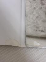 【※イタミ有り】不調知らずの体になる ここからはじめる発酵食 家の光協会 栗生 隆子