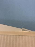 【※書き込み・イタミ有り】フィットネス指導者のためのキネシオロジー ラウンドフラット 西端 泉