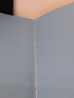 【※書き込み・イタミ有り】フィットネス指導者のためのキネシオロジー ラウンドフラット 西端 泉