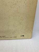 ポリ塩化ビニル: その基礎と応用 日刊工業新聞社 近畿化学協会ビニル部会