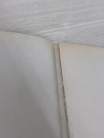 チャイニーズ・スナック・ブック: 点心専集 文化出版局 黄 淑恵