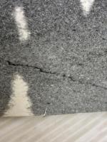 一世風靡セピア 道が俺達の背を押した 株式会社徳間コミュニケーションズ 一世風靡セピア