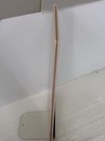 動物たちのカーニバル (はじめてのクラシック 5) 評論社 谷川 俊太郎