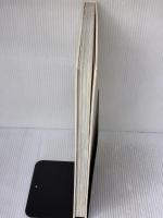 【※箱・カバー無し】わが心魂のＫ2　この果てしなき白き神々の座よ 創思社 新貝 勲