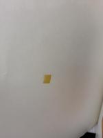 【※イタミ有り】Decks: Plan, Design, Build Creative Homeowner Press,U.S. Cory, Steve