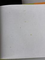 【※イタミ有り】Really Small Gardens: A Practical Guide to Gardening in a Truly Small Space Quadrille Publishing Ltd