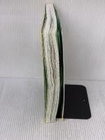 【※イタミ有り】まんがで身につく めざせ! あしたの算数王 (2) 比と比率 岩崎書店 ゴムドリ co.