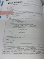 【※難あり】Pythonで文書処理: 資料のPDF化、文字認識、検索、その他さまざまな作業をプログラミングで解決 カットシステム 北山 洋幸