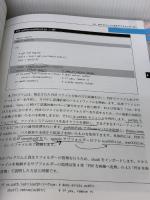 【※難あり】Pythonで文書処理: 資料のPDF化、文字認識、検索、その他さまざまな作業をプログラミングで解決 カットシステム 北山 洋幸