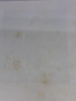 【※イタミ有り】 子どもの聖書絵物語 いのちのことば社 ケネス N.テイラー