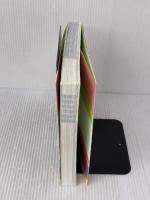 【※イタミ有り】スタイル別 配色アイデアブック パイインターナショナル 色彩活用研究所