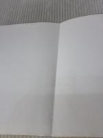 【※イタミ有り】スタイル別 配色アイデアブック パイインターナショナル 色彩活用研究所