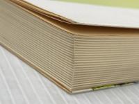 おかあさんしっかり (1985年) 木内哲子 木内 哲子