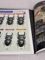 【※イタミ有り】初めて飼う クワガタムシ 月刊むし8月増刊号