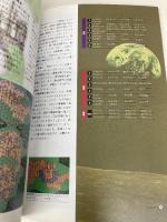 アースライトルナ・ストライク公式ガイドブック アスキー 小林 良介