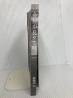 【※カバー無し】金星が見える時: エネルギー革命の夜明け Independently published 森園 知生