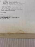 【※イタミ有り】クロスビート・ディスク・ガイド 2001 (シンコー・ミュージックMOOK)