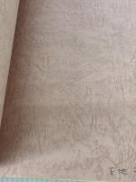 【※書き込み有り】骨格筋の形と触察法 鍬谷書店