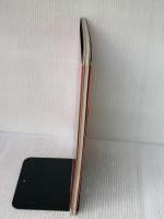 絶対無敵ライジンオー地球防衛日誌 (THIS IS ANIMATION SPECIAL) 小学館