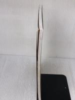 【※強いイタミ有り】ＶｉＶシリコンスチーマーで大好物がすぐできる！男のごちそうスチームレシピ  徳間書店 ｓｈｉｇｅｋｏ