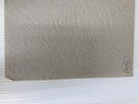 直撃強くなりたい道: こんな経験、ボク初めてなんです 福昌堂 大槻 ケンヂ