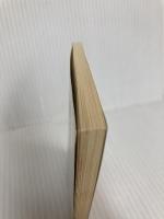 ロードス島戦記~英雄騎士スパーク~ RPGリプレイ (角川mini文庫 133) KADOKAWA 水野 良