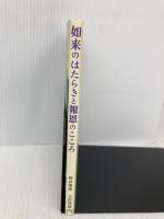 如来のはたらきと報恩のこころ 自照社出版 利井 唯明