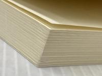 ※カバー無し 読むだけで絶対やめられる禁煙セラピー [セラピーシリーズ] (ムックの本 548) ロングセラーズ アレン・カー