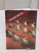 中国少数民族の歌舞と楽器 (1981年)