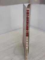 中国少数民族の歌舞と楽器 (1981年)