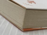 超人騎士団リーパーズ (講談社青い鳥文庫 fシリーズ 235-1) 講談社 平井 和正