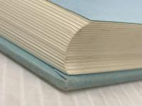 ※カバー無し サリヴァン治療技法入門 星和書店 A. H. チャップマン