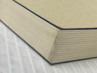 ※カバー無し 沢野字の謎 本の雑誌社 沢野 ひとし