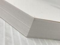 世界平和とシンクロニシティの不思議　上巻: 神武東征　五瀬命と長脛彦 デザインエッグ社 柳澤　由理