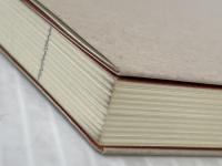 男の日傘 中日新聞社 渡辺　哲雄