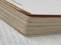 リカの思い出: 永遠の少女たちへ 文春ネスコ 土肥 睦子