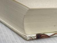 ワイル博士のナチュラル・メディスン〈増補改訂版〉 春秋社 A. ワイル