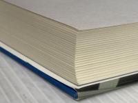 激震: 日本の八大トレンド考察 ダイヤモンド社 石井 一二