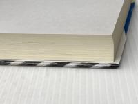 激震: 日本の八大トレンド考察 ダイヤモンド社 石井 一二