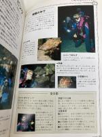 土・日で覚えるスキューバ・ダイビング ビジュアル版 (土・日で覚えるシリーズ 13) 角川書店(同朋舎) レグ ヴァリンタイン