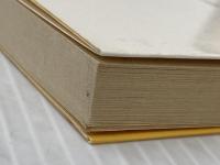 銀河鉄道の朝: 迷犬ルパン・スペシャル (光文社文庫 つ 1-11) 光文社 辻 真先