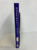 浜辺先生町を行く (文春文庫 た 3-15) 文藝春秋 田辺 聖子
