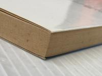 ※イタミ有 真夜中の侵入者: 市会議員連続わいせつ事件 (幻冬舎アウトロー文庫 O 13-3) 幻冬舎 松田 美智子