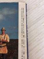 中国風おかず: やさしいおしゃれな (主婦の友生活シリーズ) 主婦の友社 山本 豊