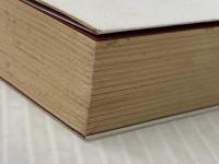 ※イタミ有 驚異の超気功師・王力平 徳間書店 金 孝廷