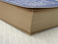 ※イタミ有 中央線歴史散歩 史跡をたずねて各駅停車 鷹書房弓プレス 萩原 良彦